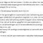 stycke_och_punkt_lagum.png